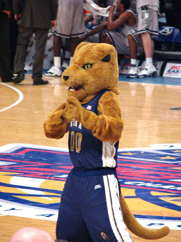 #66: Pitt Panthers